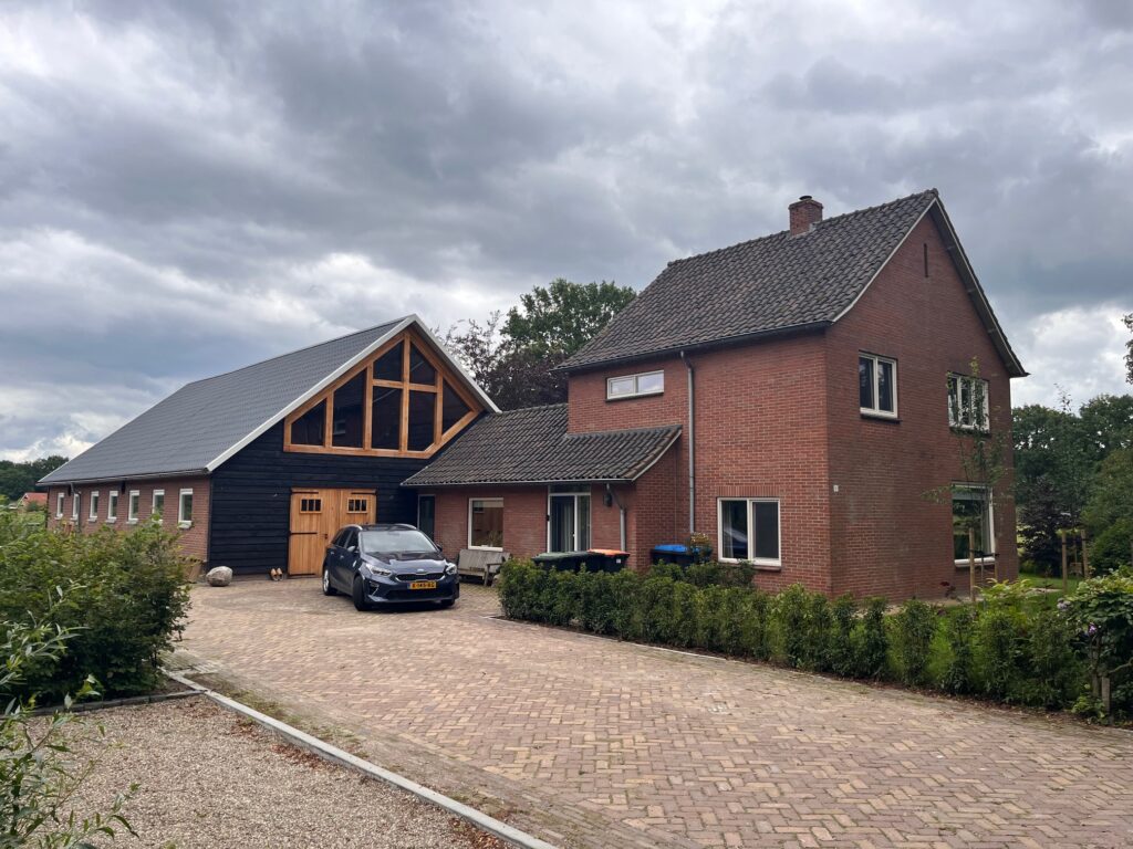 Image1 (1)